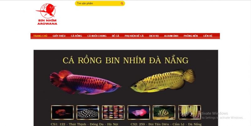 shop cá cảnh Đà Nẵng