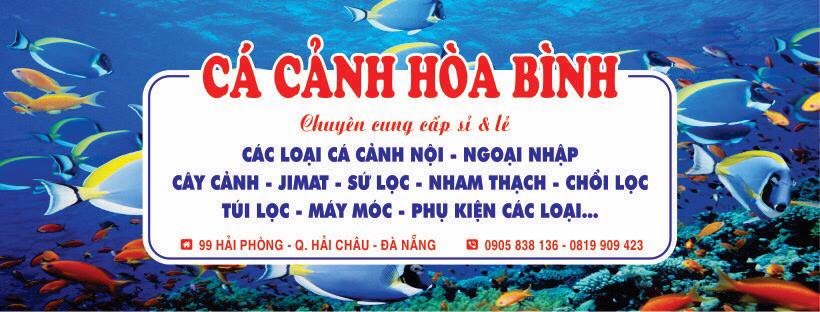 shop cá cảnh Đà Nẵng