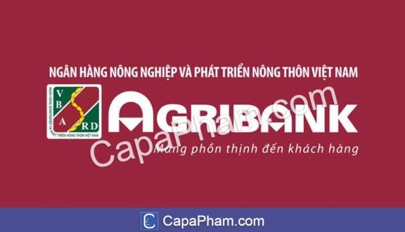 Vietinbank - Big4 ngân hàng Việt Nam
