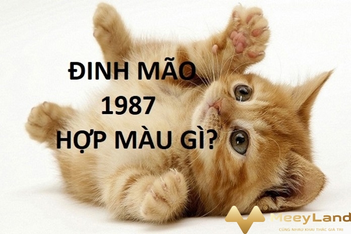 Anh 4 Mau sac hop menh nguoi tuoi Dinh Mao 1987 la gi - Giải đáp tuổi Đinh Mão sinh năm 1987 mệnh gì, con gì ? - phong-thuy-theo-tuoi