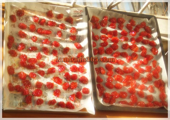 Cách làm mứt cà chua bi siêu ngon tại nhà phơi mứt cà khô
