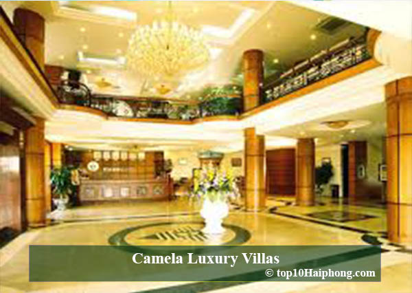 Camela Luxury Villas