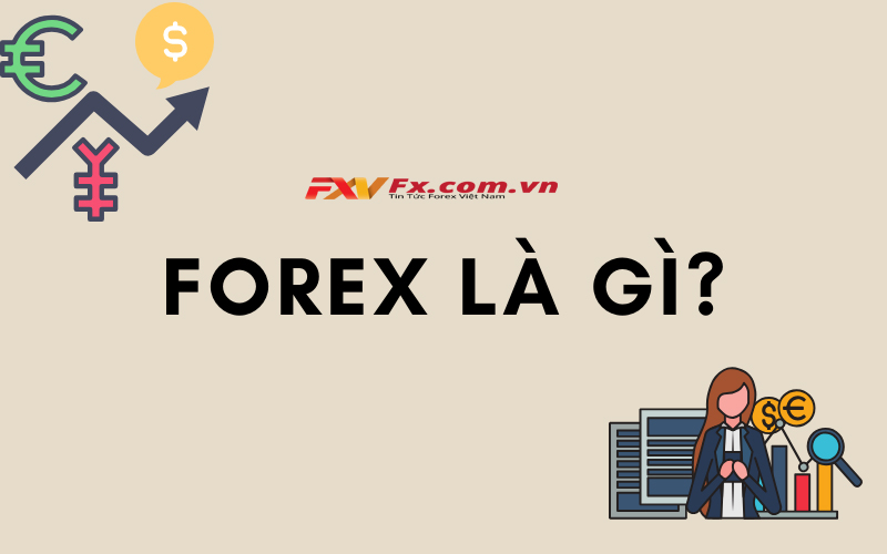 Thị trường Forex là gì? Đặc điểm của thị trường giao dịch ngoại hối