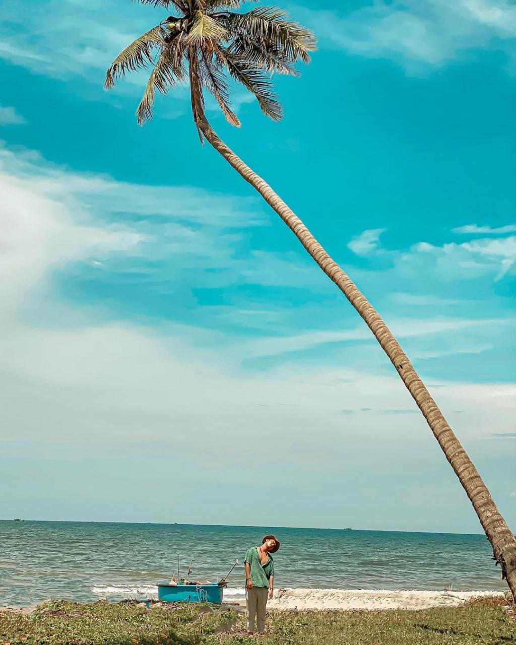cây dừa nghiêng ra biển Mũi né