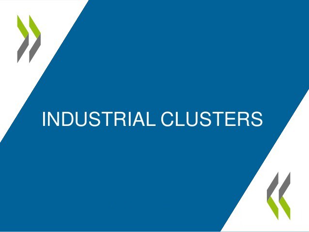 dr-andrea-goldstein-industrial-cluster-in-the-global-economy-1-638