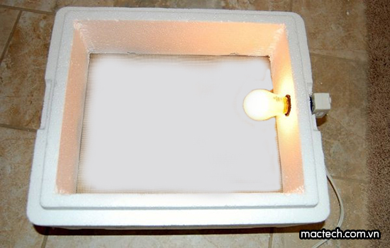 Lắp bóng đèn trong thùng xốp