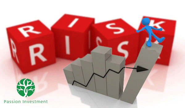 Rủi ro có thể xảy ra đối với các nhà đầu tư tài chính không chuyên
